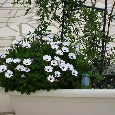 בית כפרי Mafalda *