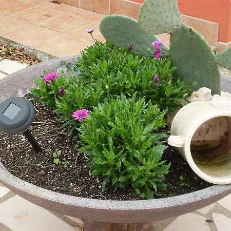 בית כפרי Mafalda מרטינה פרנקה