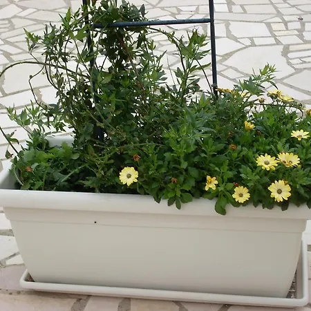 Country house Mafalda *