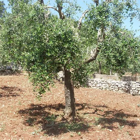 בית כפרי Mafalda
