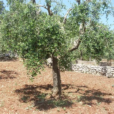 Country house Mafalda