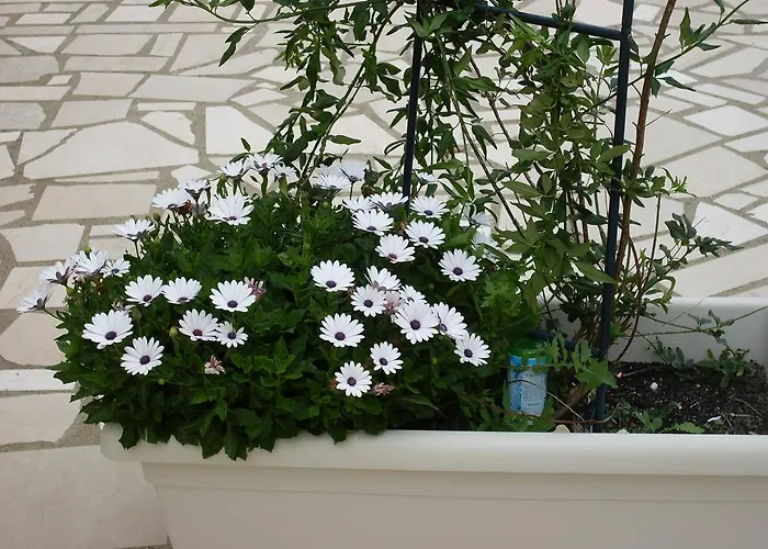 Country house Mafalda *