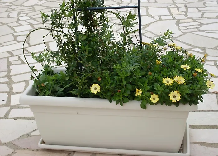 Country house Mafalda *