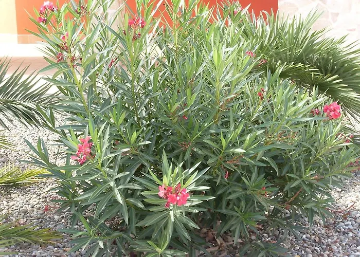 Country house Mafalda