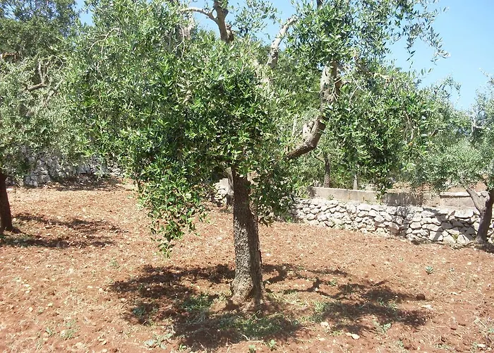 Country house Mafalda